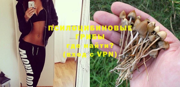 мескалин Балахна